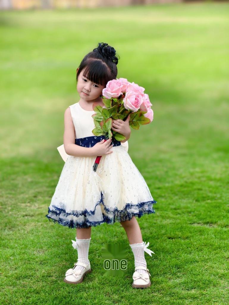 2026 Lente/Herfst Meisjes Lange Mouwen Mesh Rok Prinses Tweedelig Set