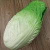 Artificial Chinese Cabbage Realistic Chinese Cabbage Vegetable Kitchen Decoration for Home Party Decoration