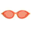 Women Sunglasses Cknyc1853sr