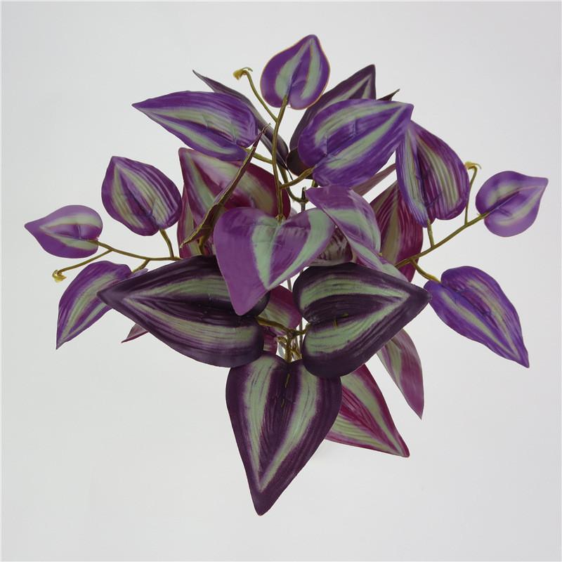 Ipomoea Plant Batatas With Leaf Bundles For Indoor Garden And Decor Office