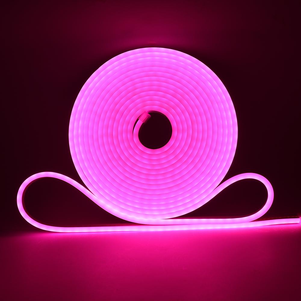1M 5M Neon Strip 12V 2835 120Leds/M Flexible LED Strip Light Waterproof Outdoor Rope Light Blue/Warm/Pink/White/Red/Yellow/Green