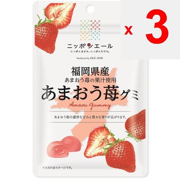 JA Nippon Ale Fukuoka Amao Strawberry Gummi 40gNippon Ale Brand with the Catchphrase Nippon-born, N Nippon Ale Brand with the Catchphrase Nippon-born,