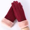 Women's Autumn Winter Touchscreen Suede Gloves, Velvet-Lined and Thickened for Warmth, Perfect for Cycling