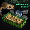 Anti-Escape Reptile Food Dish Reptile Food Water Feeding  For Chameleon Iguana Lizard Snakes