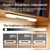 Led night light Rechargeable Human Body Induction Light USB Stepless Dimming Reading Eye Protection Wardrobe Bedside