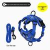 Adjustable Anti-Escape Cat & Small Dog Leash and Harness: Breathable, No-Choke, All-Season Use