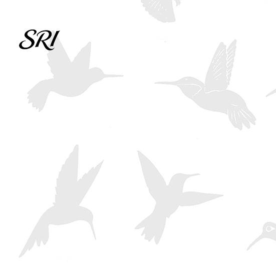 Glas Vogel Schutzfolie 9 Blatt Aufprallschutz Fensteraufkleber UV-Reflektierend Statisch Haftend Sichere Aufkleber zur Kollisionsvermeidung Wildvögel