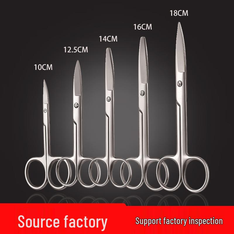 Large Curved Stainless Steel Scissors for Eyelid Tape, Gauze, Bandages, Experiments, Tissues, and Suture Removal