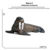 Children's Marine Animal Toy Set: Megalodon, Beluga, Octopus, Turtle, Dolphin & Manta Ray