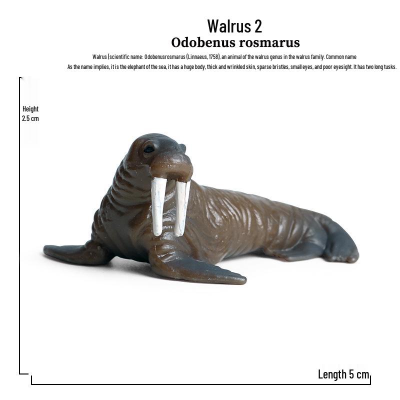 Children's Marine Animal Toy Set: Megalodon, Beluga, Octopus, Turtle, Dolphin & Manta Ray