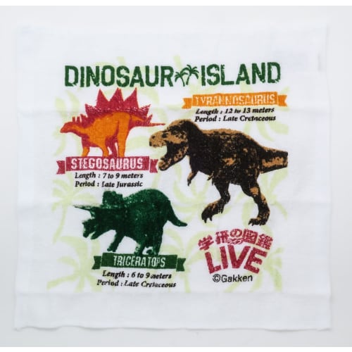 OSK Gakken Illustrated Book LIVE Hand Towel Set with Case, Made in Japan, Stylish and Cool, Unisex, for Children and Elementary School Students, OC-1