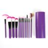 Hot Selling 12cs Professional Makeup Brush Set  Woman Vegan Hair Blue Pink Makeup Brush Set