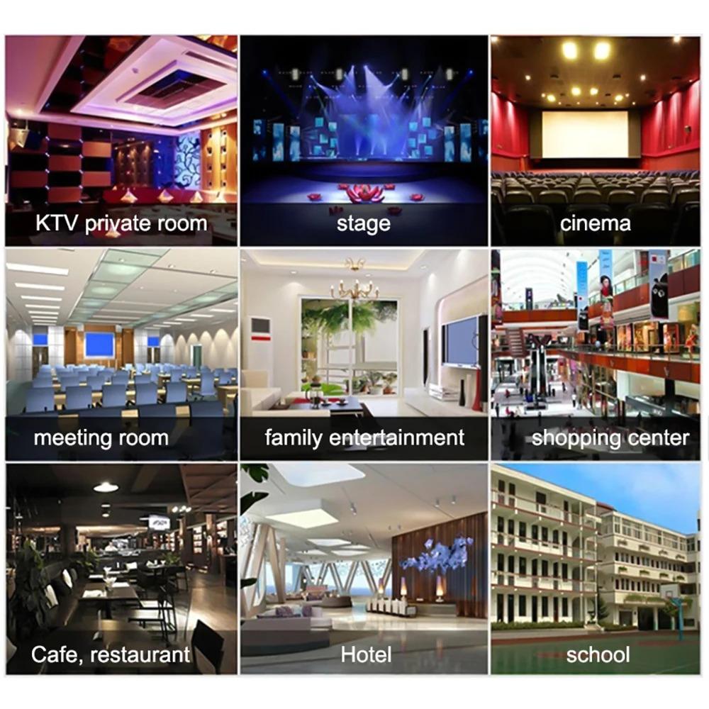 Condenser Microphones Hanging Microphones Studio For KTV Karaoke Radio Braodcasting Singing Recording Computer Live Microphone