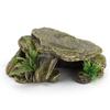 Reptile – Îngrijirea reptilelor