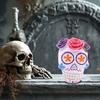 Day of The Dead Floral Skull Statue Colorful Flower Patterned Human Head Bone Model Resin Sugar Skull Figurine for Halloween Home Tabletop Decor