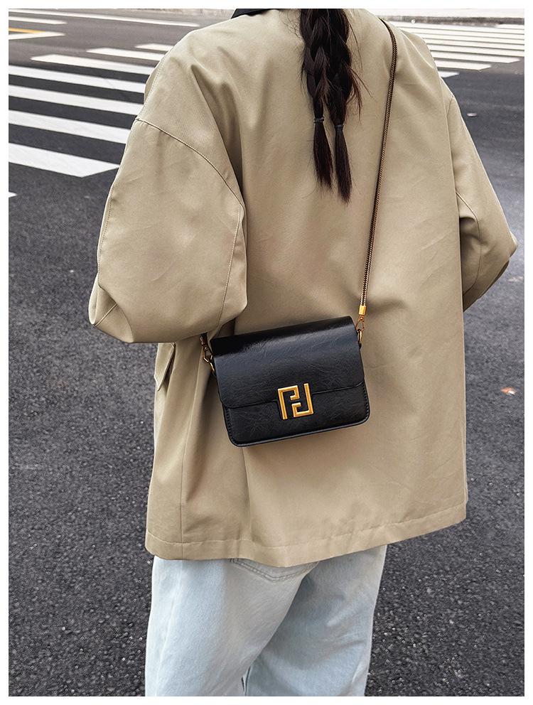 2024 Trendy Women's High-End Retro Crossbody Square Bag