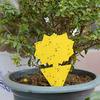 Flies Traps Sticky Fly Traps Sticky Gnat Catcher Non Toxic Yellow 20Pcs Waterproof