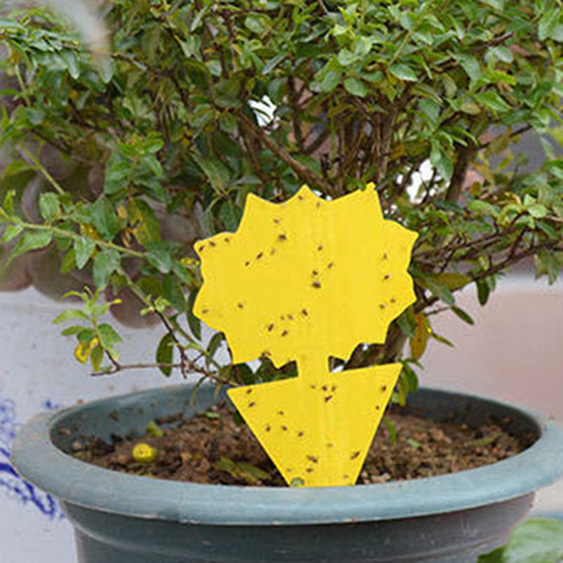 Flies Traps Sticky Fly Traps Sticky Gnat Catcher Non Toxic Yellow 20Pcs Waterproof