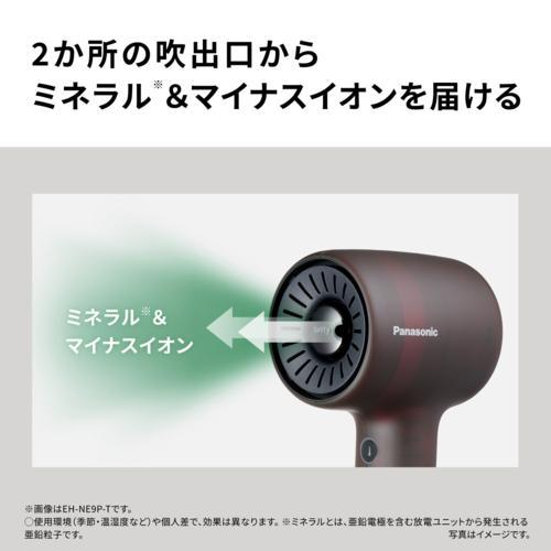 Panasonic EH-NE9P-G Hair Dryer Ionity Head Spa Nozzle Green
