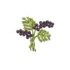 Enamel Pine Cone Brooch Female Personality Corsage Accessories High-End Fashion Exquisite Leaf Pin