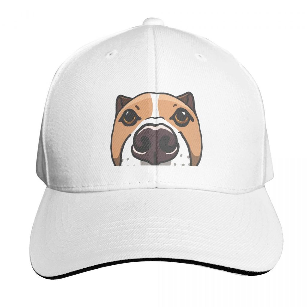 Can I Come Over and Look at You Like This Baseball Cap luxury caps New In The Hat fashionable Rugby For Unisex Womens