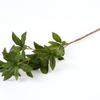 Nordic Greenery: Single Artificial Pieris Japonica Leaves for Living Room or Dining Table Decor.