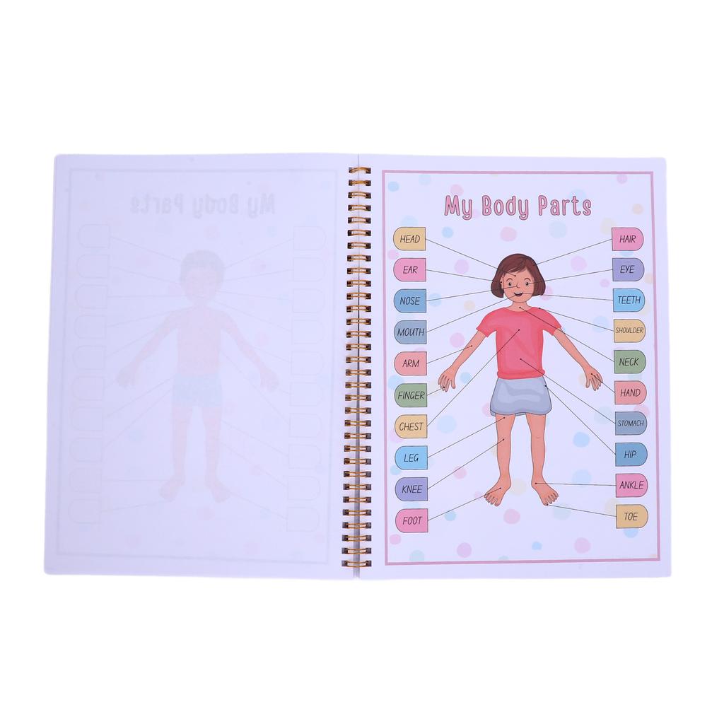 Human Body Anatomy Book for Toddlers Interactive Preschool Learning Human Body Anatomy Book