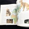 [USED] The New Encyclopedia of the Cat