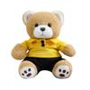 Cartoon Cute Dressed Bear Teddy Bear Doll Plush Toy Cuddle Bear Doll Girl Soothing Rag Doll