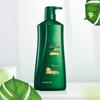 100 Years Hair Anti-Dandruff & Softening Shampoo