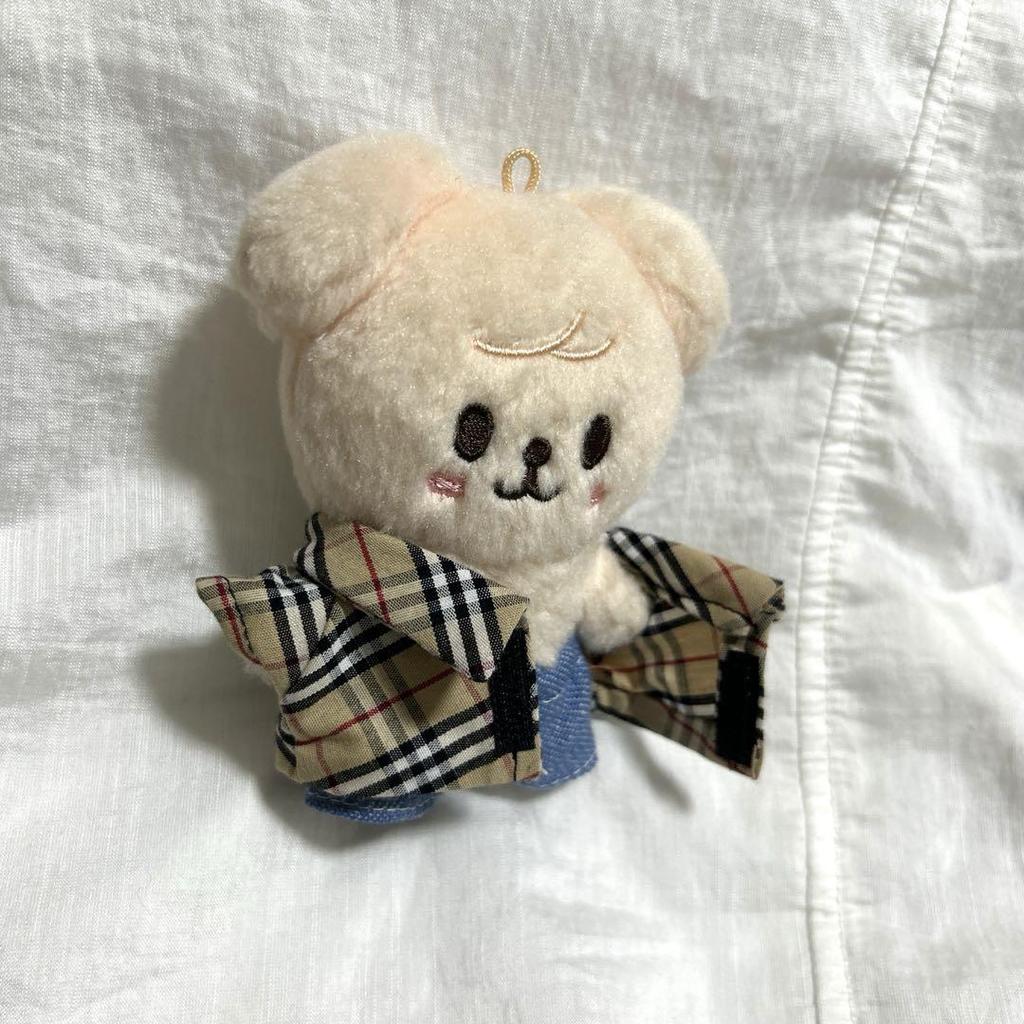 [USED] Straykids skzoo puppym Seungmin's outfit