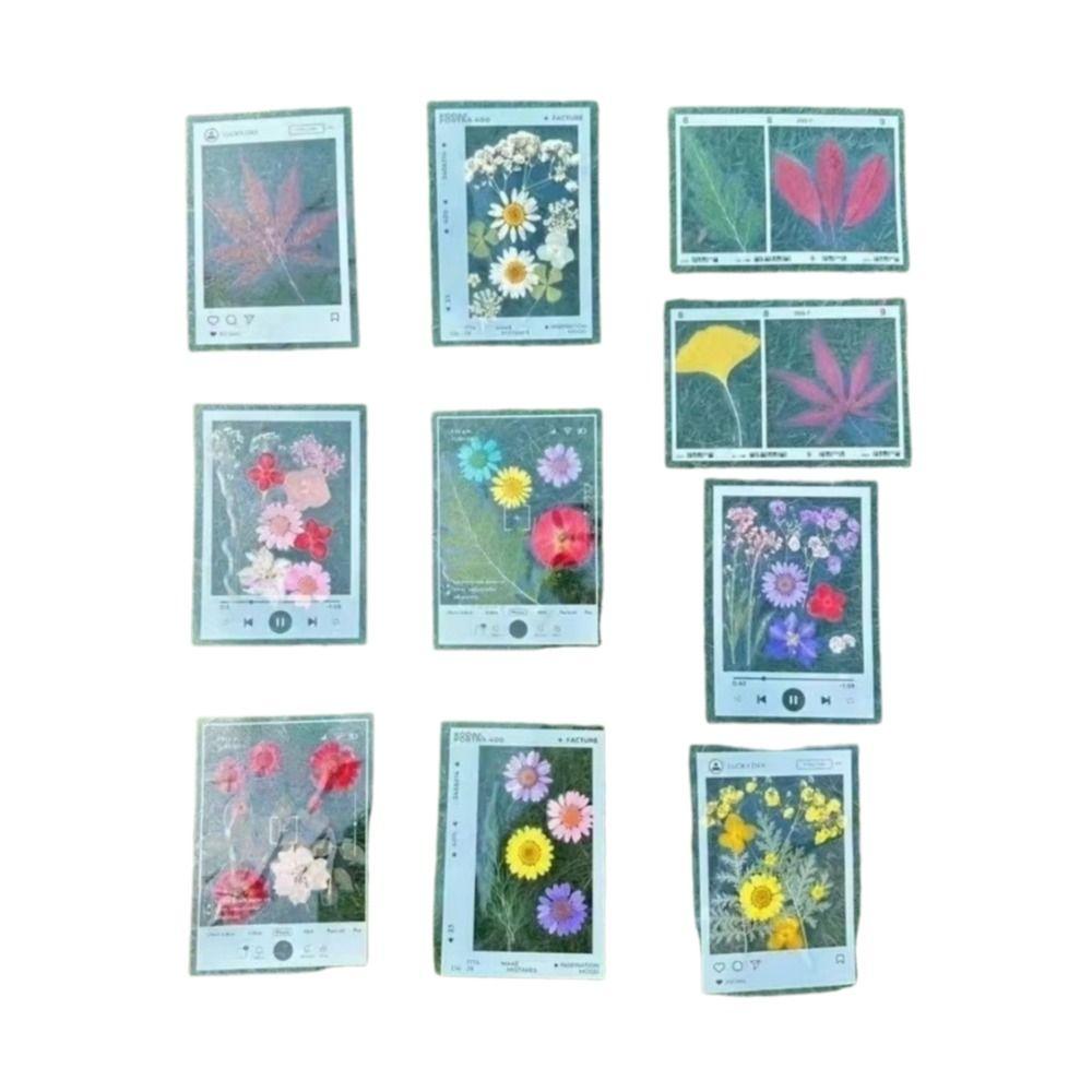 20PCS Plastic Frame Clear Plastic Bookmarks Pressed Flower Bookmarks Pressed Flowers Leaves