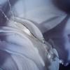Tomorrowobject 23FW. Lilienbrise. Halskette 02