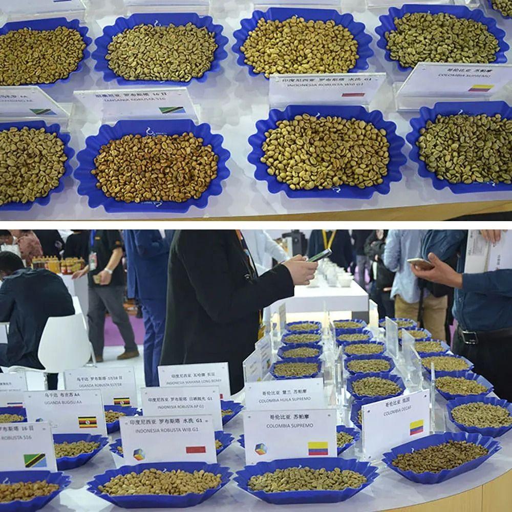 22.3x13x3.5cm Sample Display Tray Plastic Snack Serving Tray Coffee Bean Tray  Select Coffee Set