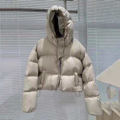 Winter Hooded Loose Puffer Jacket Thick Warmer Oversize Jacket Cotton Long Sleeve Zipper Padded Coat Female