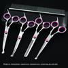 Pet Grooming Curved Scissors Set - Professional Dog Hair Trimming Tool