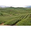English Title (optimized for Joom, 143 characters):   Premium Black Tea 250g Dian Hong Yunnan Red Tea Loose Leaf Strong Aroma Rich Taste
