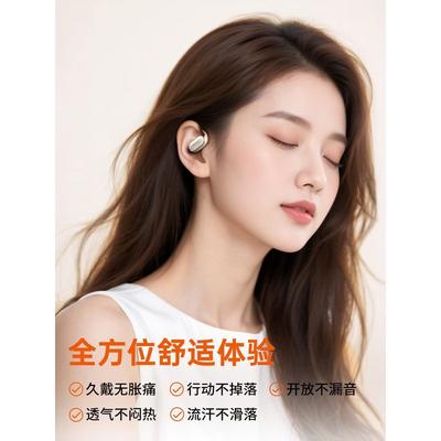 Newsmy LY12 Open-Ear Ear-Hook True Wireless Bluetooth Sports Earbuds