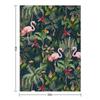 Jungle Pattern with Toucan, Flamingo and Parrot Throw Blanket Luxury Throw Kid'S Polar Stuffeds Blankets
