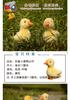 17X17Cm Realistic Duck Plush Toy Cute Little Yellow Duck Plushie Quacking Duck Toy Birthday Gift