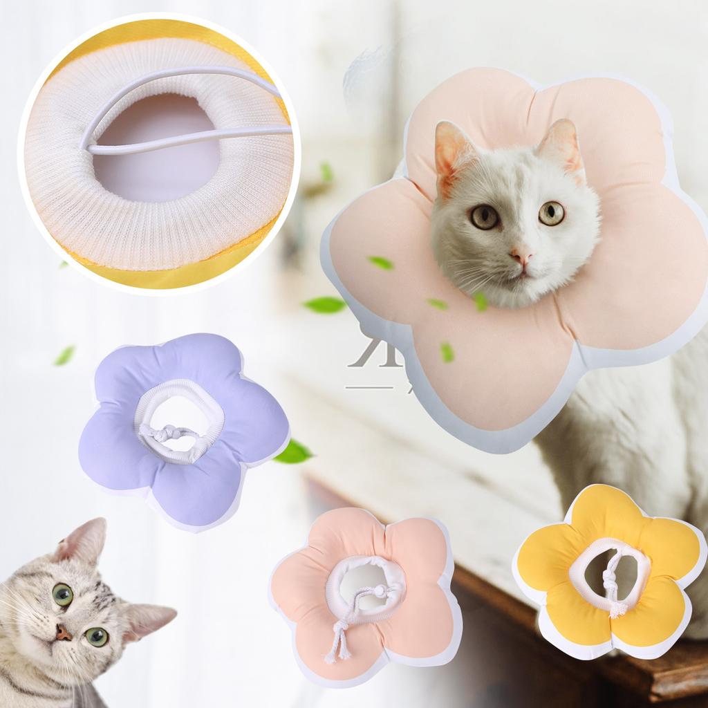 Recovery Collar Small Dog Post Soft Edge Collar For Dogs Cats
