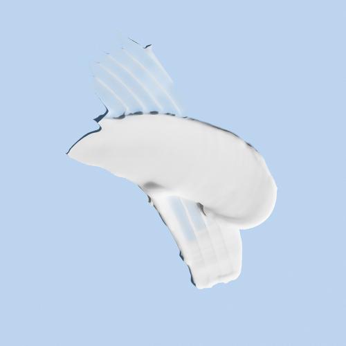 WADERSKIN Moisture Lasting Large Volume Hydrating Cream 100ml