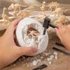 Dinosaur Egg Kit with 12 Skeleton, Large Dinosaur Egg Archaeology Excavation Toy, DIY for Kids