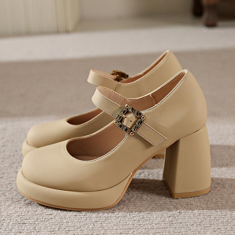 Size 34-43, Large Size Women's Shoes French Thick Heel Mary Jane Shoes 41 Retro Fairy Style High Heel Single Shoes