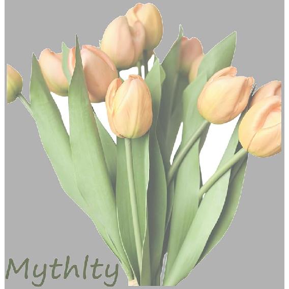 Set of 12 White Tulips Artificial Flowers Real Touch with Long Stems Faux Realistic Tulips Flowers 20 Inches That Look Real for Home Office Wedding