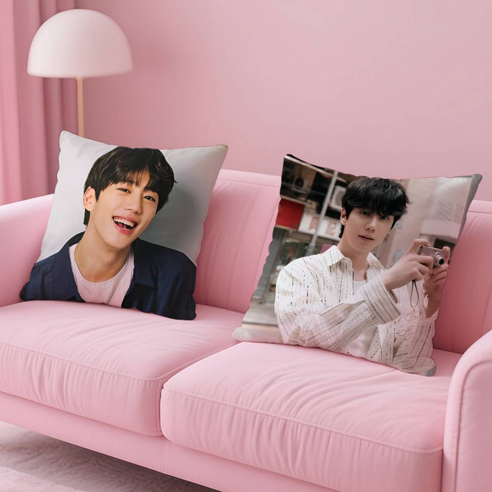 Kpop Style Hot Singer Lee J-Jun Young Pillow Case Anti-Dustmite Pillowcase Invisible Zipper Silky Short Plush Sofa Cushion Cover
