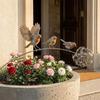 Metal Bird Garden Stake Weather Resistant Bird Plant Stake Robin Yard Ornament  Flower Pot Decor