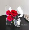 Acrylic Butterfly Vase, Minimalist Modern Home Decor Vase, Suitable for INS Style