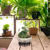 Vaso Ceramico Decorativo per Piante Stili Artistici Inchiostri Finitura Non Tossica Stabile Per Famiglie con Animali Domestici