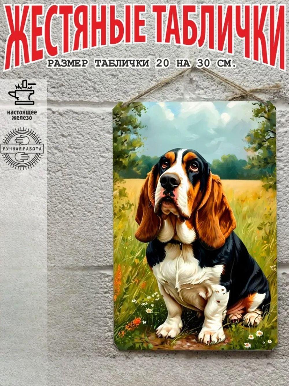 

Плакат с собакой на стене 20 на 30 см, в подарок